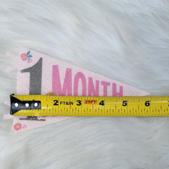 2/$20 Little Artist Milestone Pennants - Picture 12 of 15